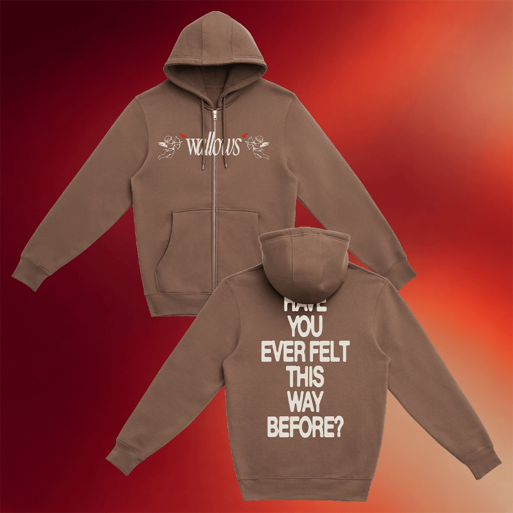 Wallows Merch Wallows Angel Zip Up Hoodie Birthday Gift For Sister