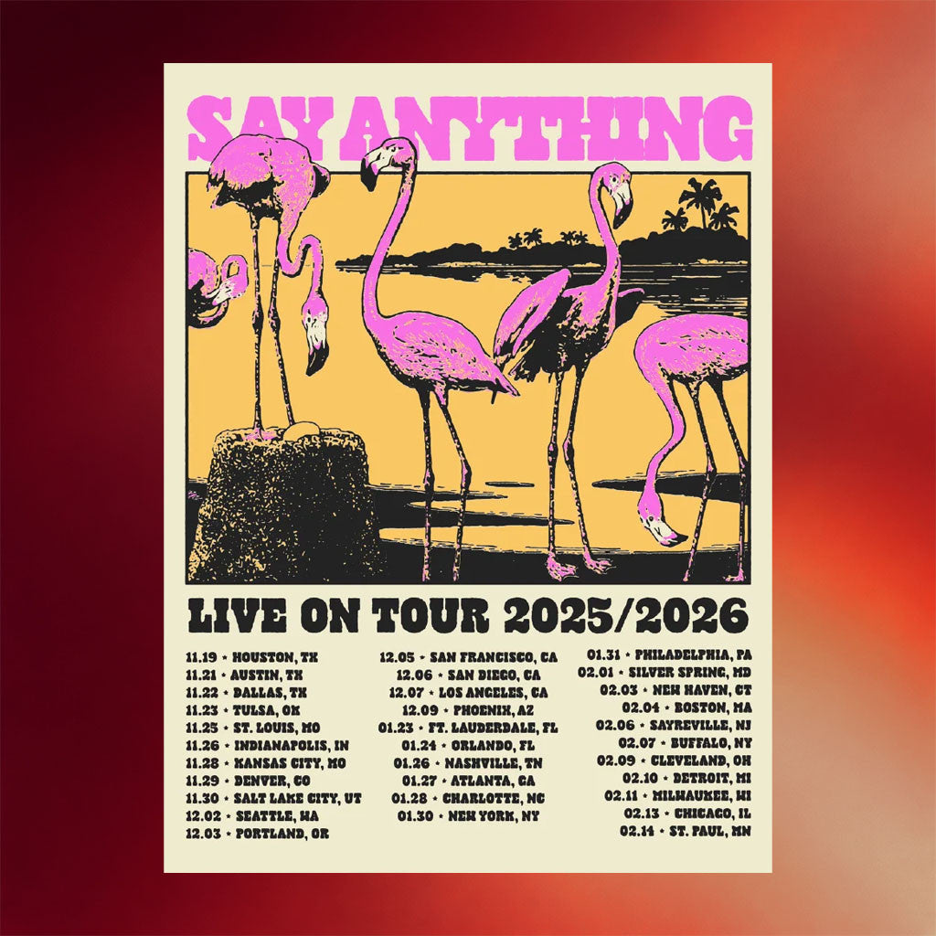Say Anything Merch 2026 Flamingo Tour Poster Wall Art Decor Say Anything Tour Merchandise