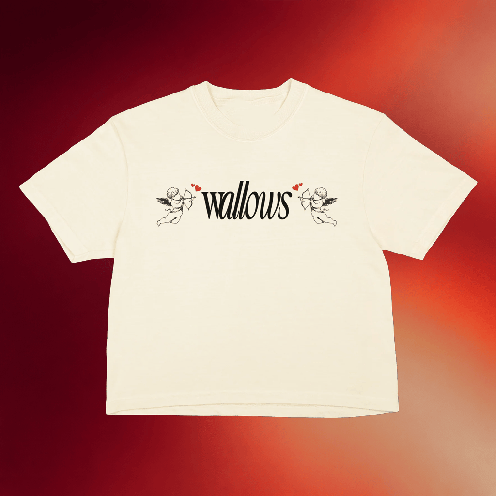 Wallows Merch Wallows Angel Cropped Shirt Valentine Day Gifts For Her