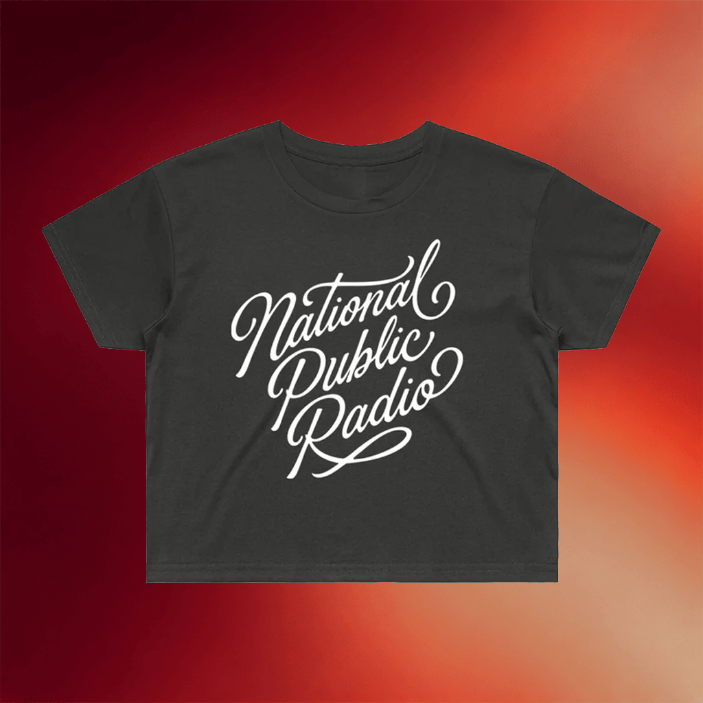 NPR Merch National Public Radio Script Cropped T-Shirt Birthday Present For Her