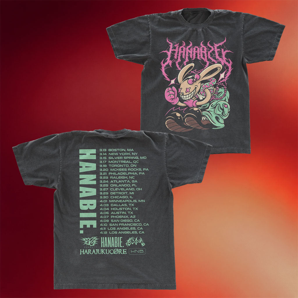 Hanabie Merch 2026 Rabbit Tour T-Shirt Hanabie US Tour Shirt Best Gift For JPop Fans