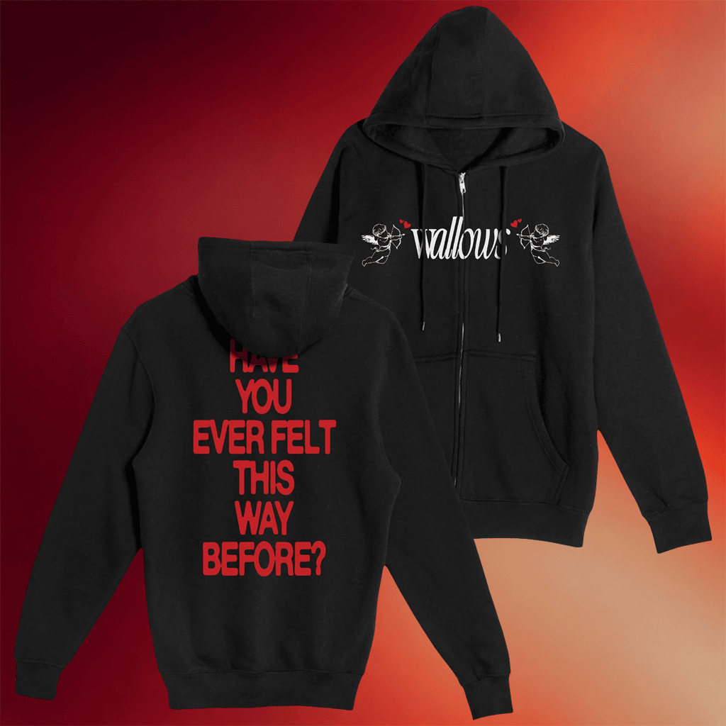Wallows Merch Angel Wallows Zip Hoodie Have You Ever Felt This Way Before Hoodie Rock Fan Gifts