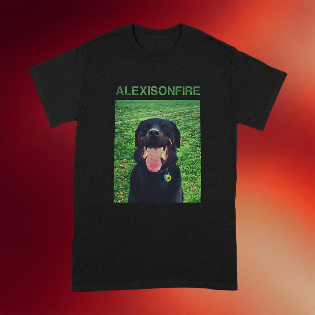 Alexisonfire Merch Brixton T-Shirt Alexisonfire Shirt Gift Ideas For Music Lovers