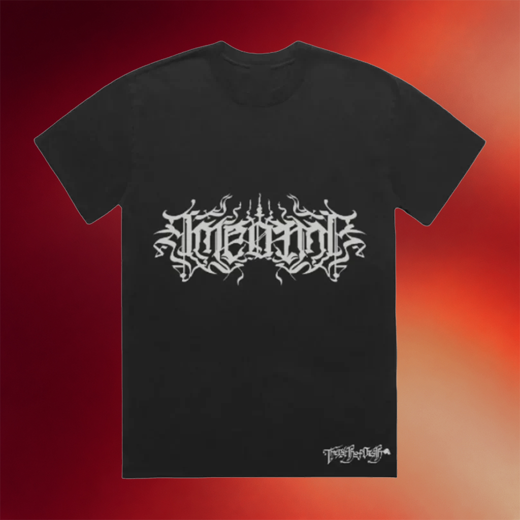 Ameonna Merch 2026 Script Logo T-Shirt Ameonna Shirt Cool Gifts For Music Lovers