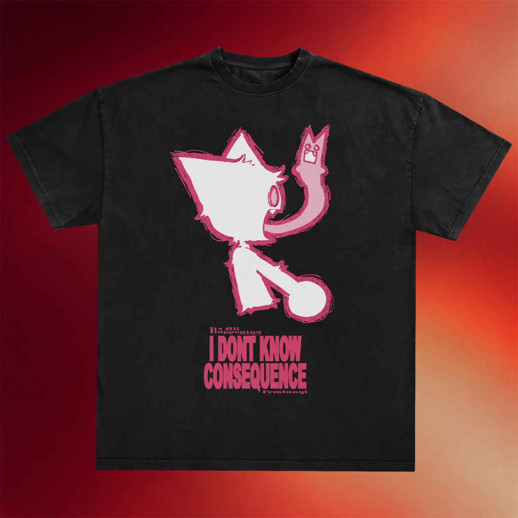 Femtanyl Merch I Don_t Know Consequence T-Shirt Birthday Gift For Friends