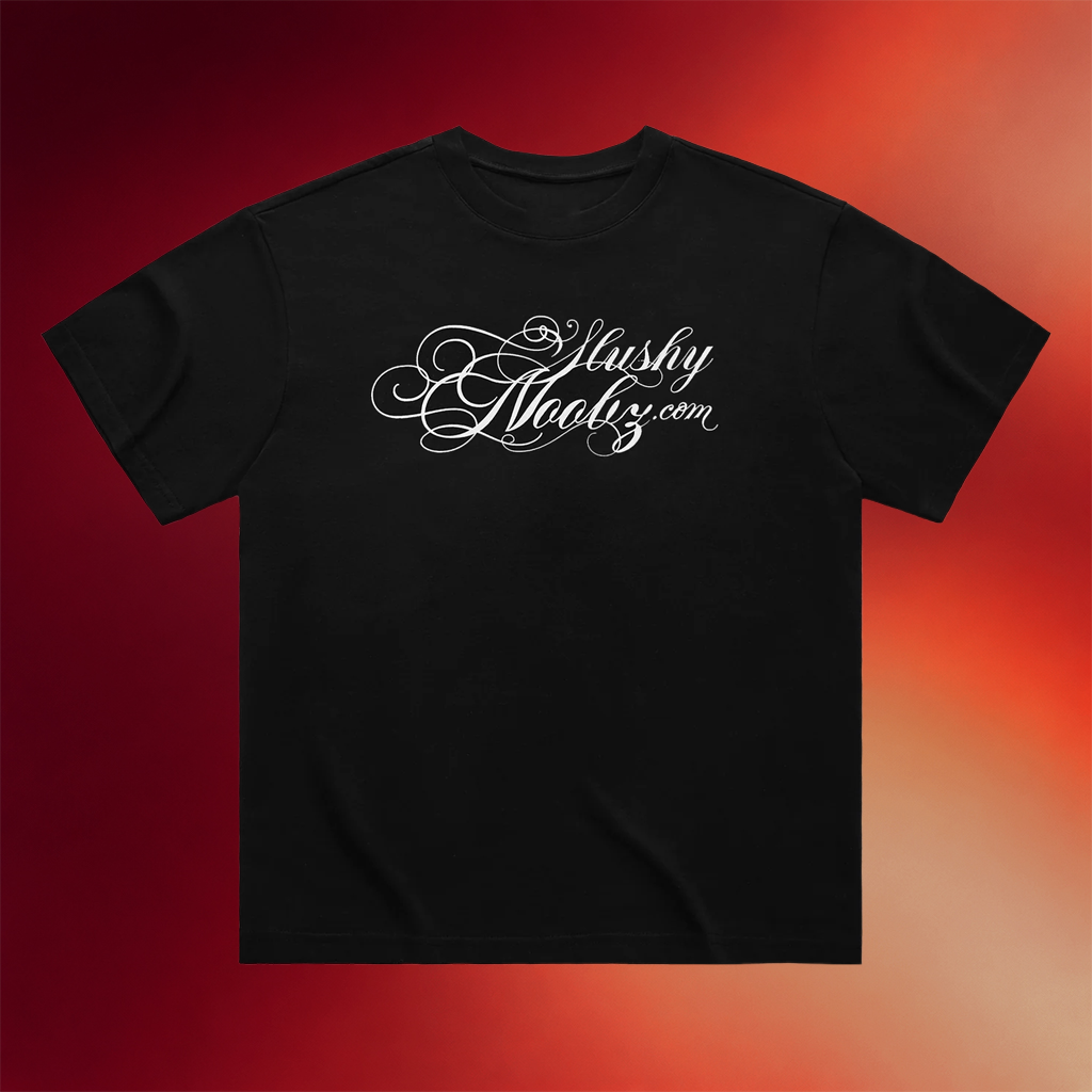 Slushy Noobz Merch 2026 Slushy Noobz T-Shirt Birthday Presents For Boyfriend