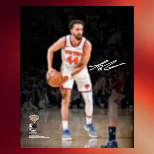 New York Knicks Champions Merch Landry Shamet NY Knicks 2026 Finals Champions Action Spotlight Poster
