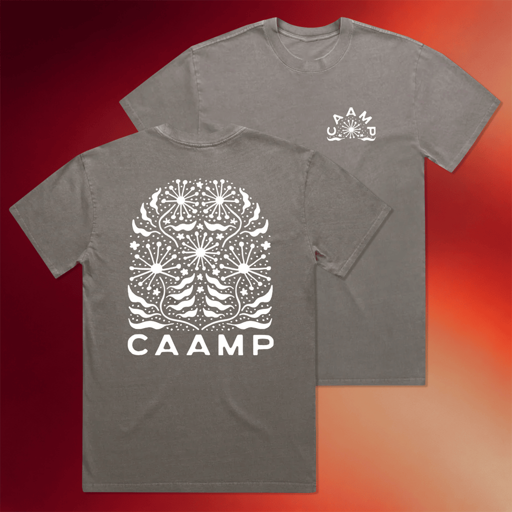 Caamp Merch Dandelion T-Shirt Caamp Shirt Gifts For Music Lovers