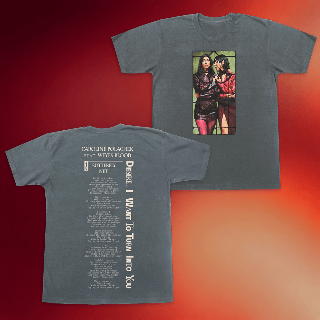 Caroline Polachek Merch 2026 Window T-Shirt Butterfly Net Caroline Polachek Shirt Fan Gifts