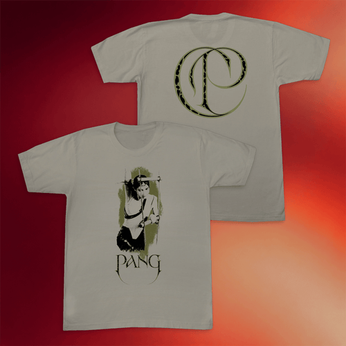 Caroline Polachek Merch Pang 5 Year Anniversary Ladder T-Shirt Music Gift Ideas For Guys