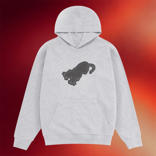 Payton King Merch 2026 Rat Hoodie Payton King Hoodie Best Gifts For Boyfriend