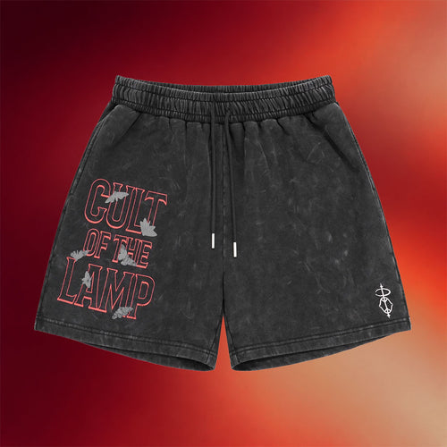 PMW Merch 2026 Cult Of The Lamp Shorts PayMoneyWubby Merch Present For Friends