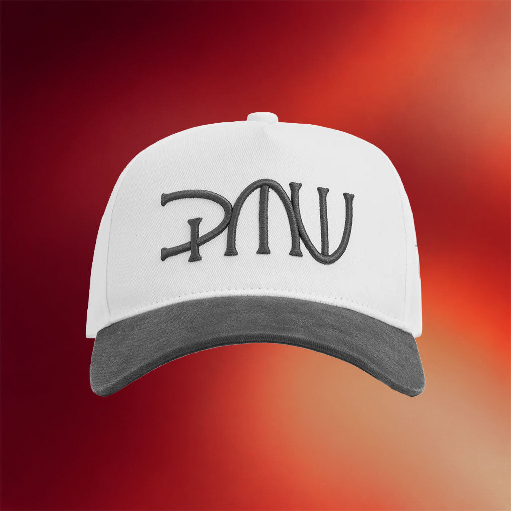 PMW Merch 2026 PMW Hat Embroidered PayMoneyWubby Merch Birthday Presents For Dad