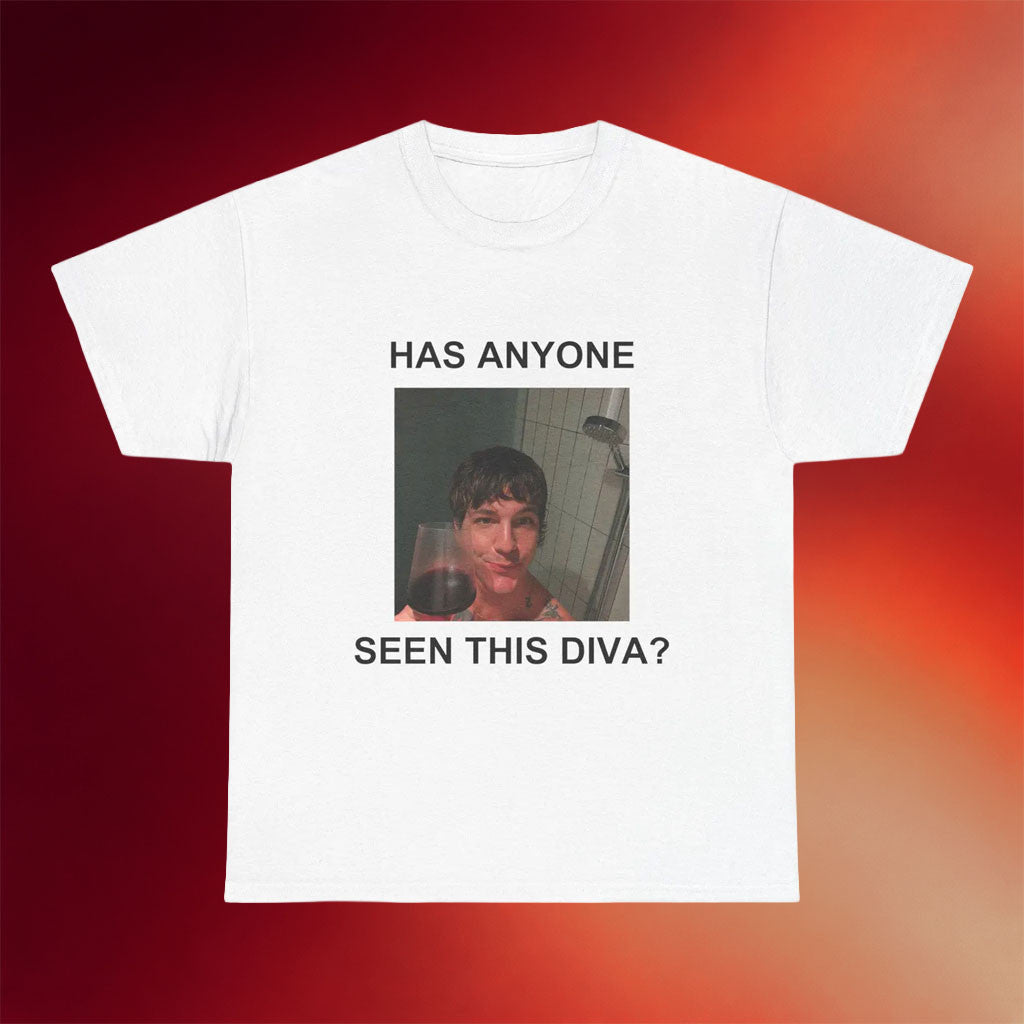 Role Model Has Anyone Seen This Diva T-Shirt Funny Meme Shirt Role Model Merch Gifts For Friend