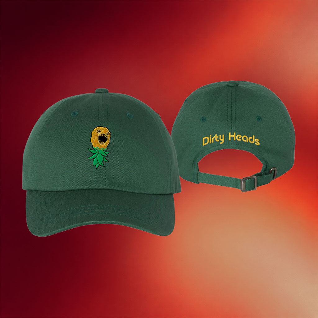 Dirty Heads Merch 2026 Pineapple Hat Embroidered Dirty Heads Hat Gift For Brothers