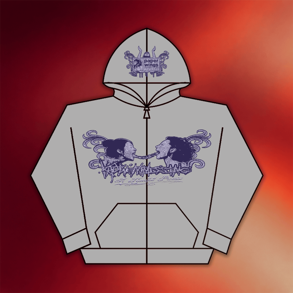 Paper Wings Records Merch Katywentmissing Gray Zip Up Hoodie Gift For Him Her