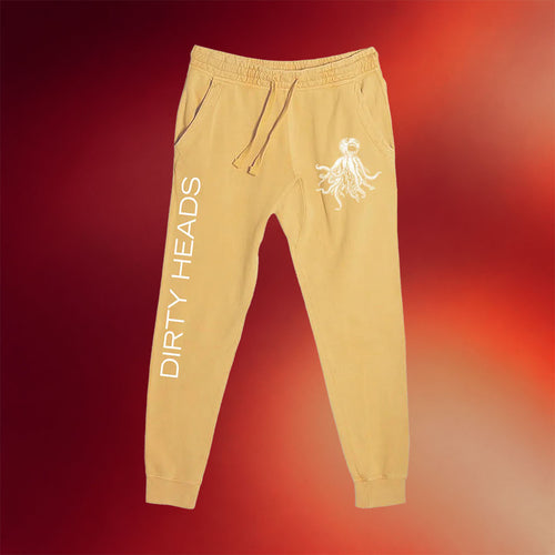 Dirty Heads Merch 2026 Octopus Vintage Joggers Unique Gifts For Friends