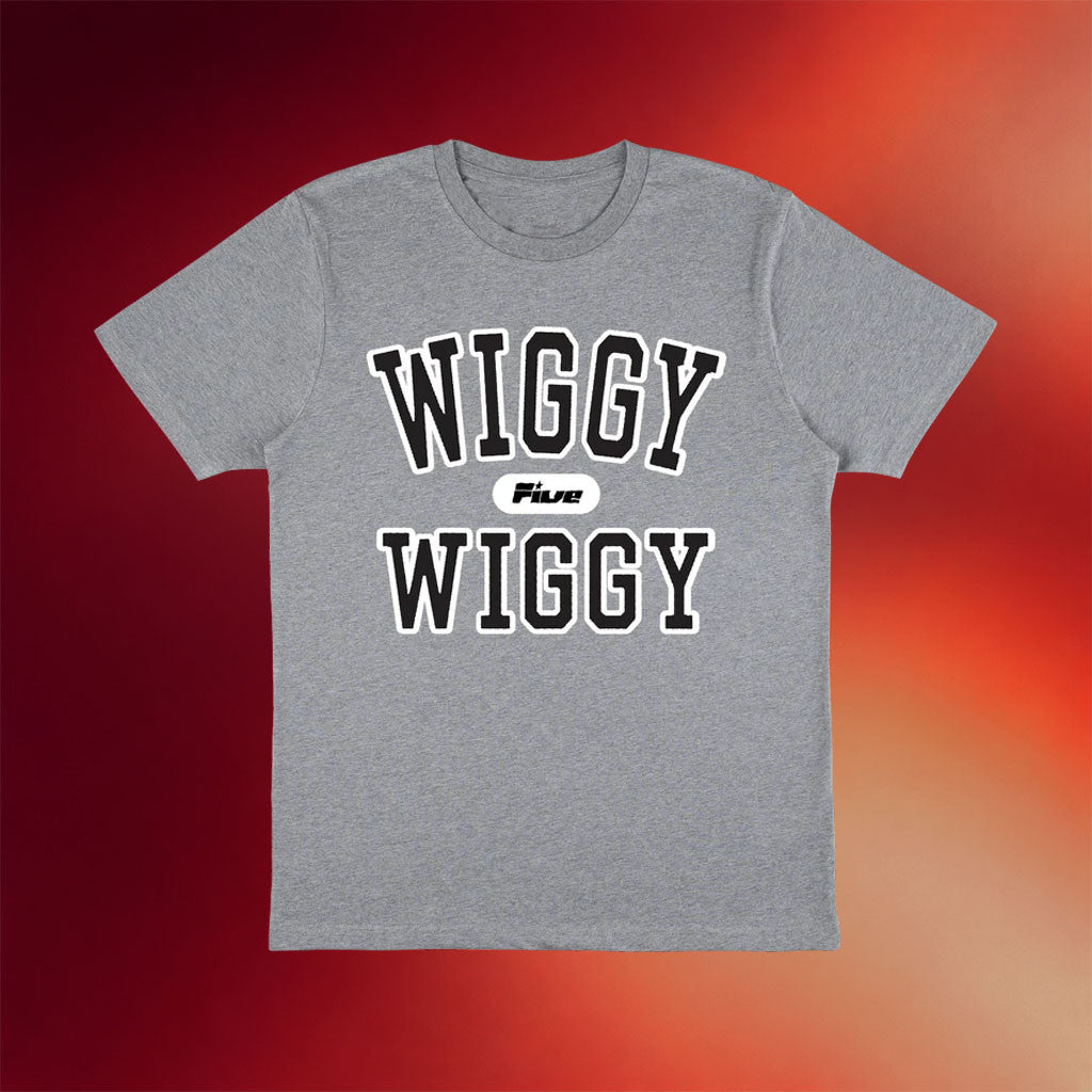 Five Band Merch 2026 Wiggy Wiggy Grey T-Shirt Birthday Presents For Dad