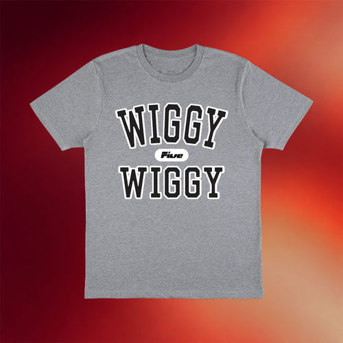 Five Band Merch 2026 Wiggy Wiggy Grey T-Shirt Birthday Presents For Dad