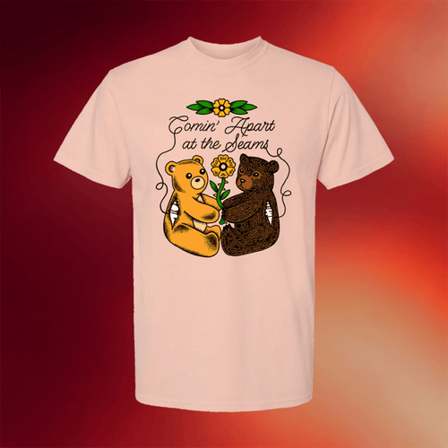 Fall Out Boy Merch 2026 Teddy Seams T-Shirt Gift Ideas For Friends