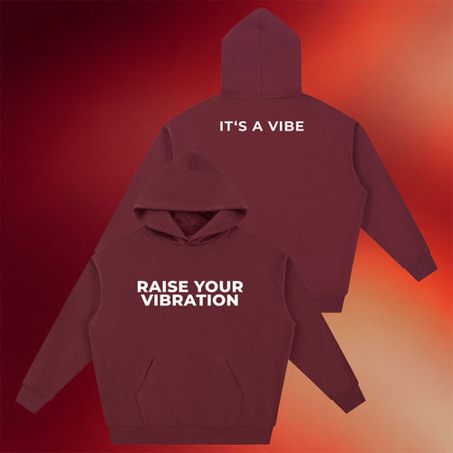 Kyle Gray Merch 2026 Raise Your Vibration Hoodie Christian Gifts For Friends