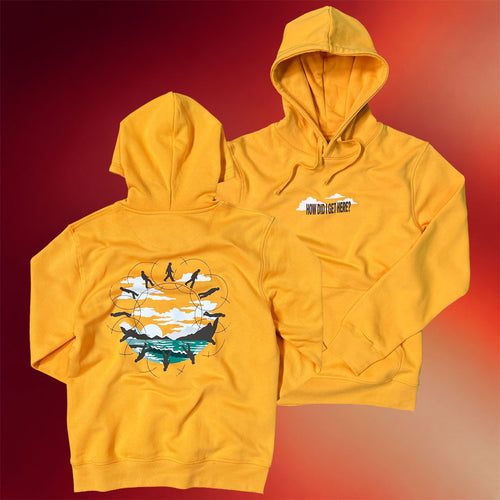 Louis Tomlinson Merch How Did I Get Here Hoodie Gifts For Music Fans