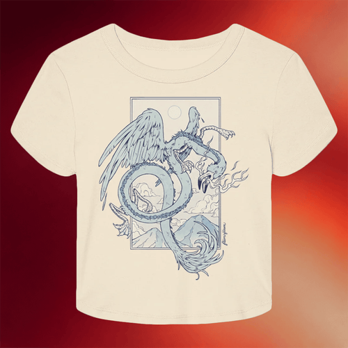 Flim Flam Merch Flamingo Dragon Cropped T-Shirt Birthday Presents For Daughter