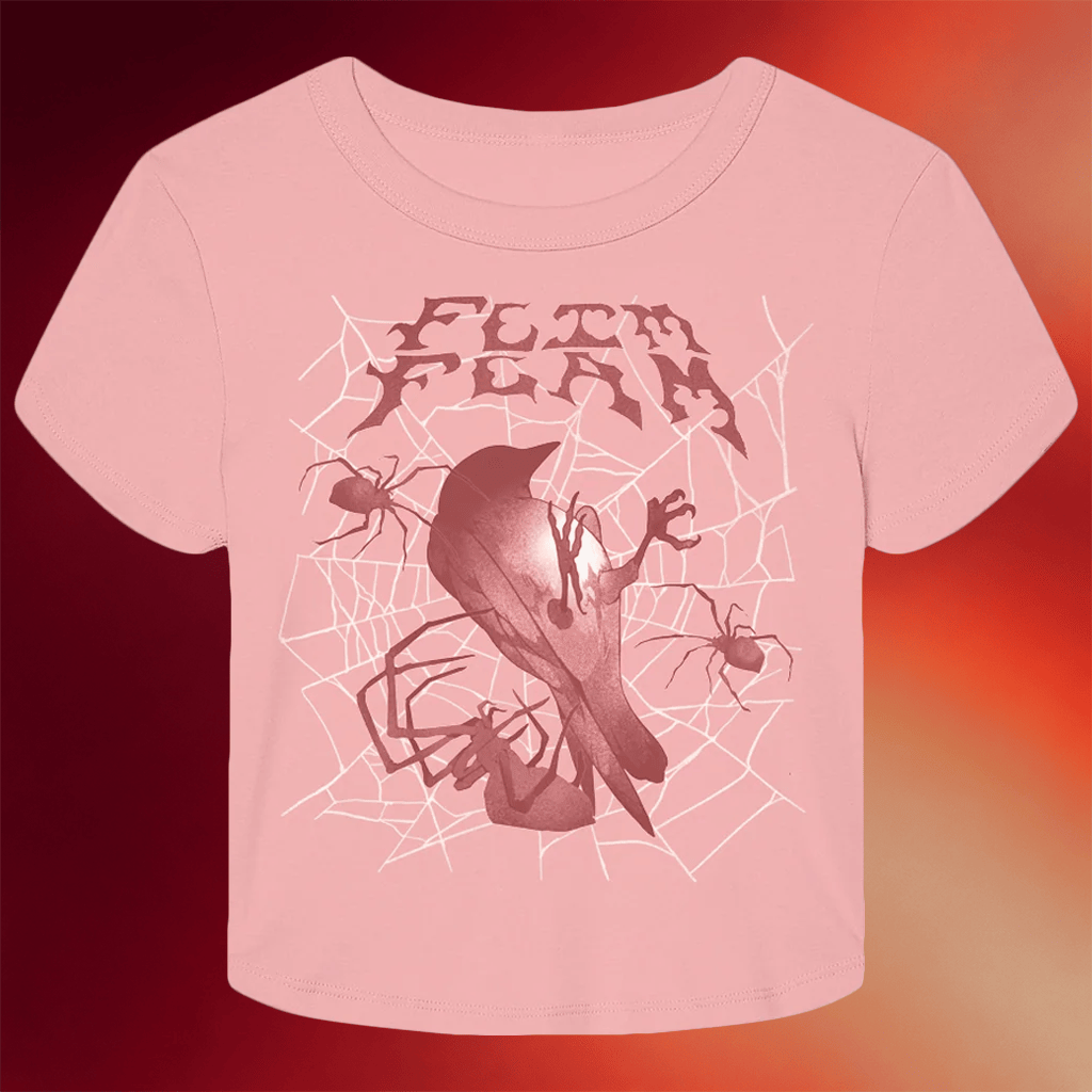 Flim Flam Merch Bird Web Cropped T-Shirt Birthday Gift Ideas For Sister