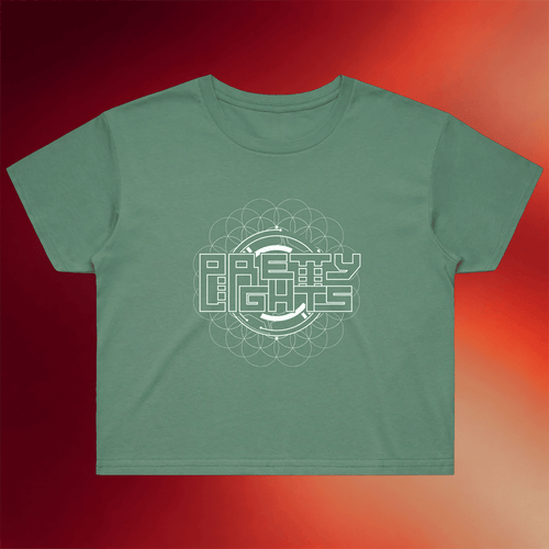 Pretty Lights Merch Circuit Vision Cropped T-Shirt Music Lover Gifts For Her