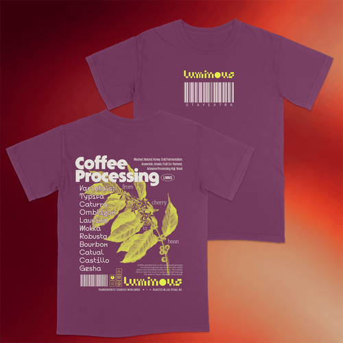 Love Luminous Merch 2026 Coffee Processing T-Shirt Barista Coffee Lover Gifts Ideas