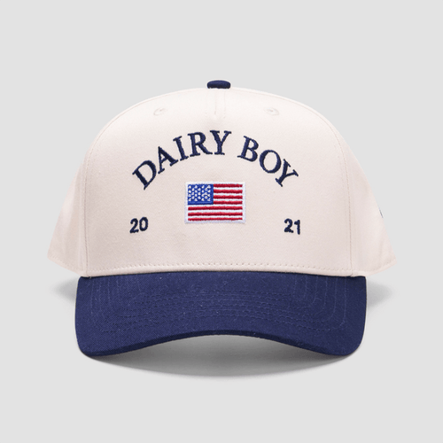 Dairy Boy Hat Embroidered Dairy Boy Merch Sentimental Father's Day Gifts