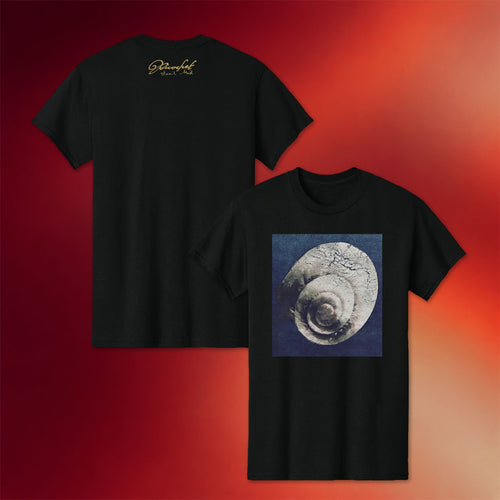 Kung Fu Merch Snail Mail Album Cover T-Shirt Best Gifts For Kung Fu Lovers