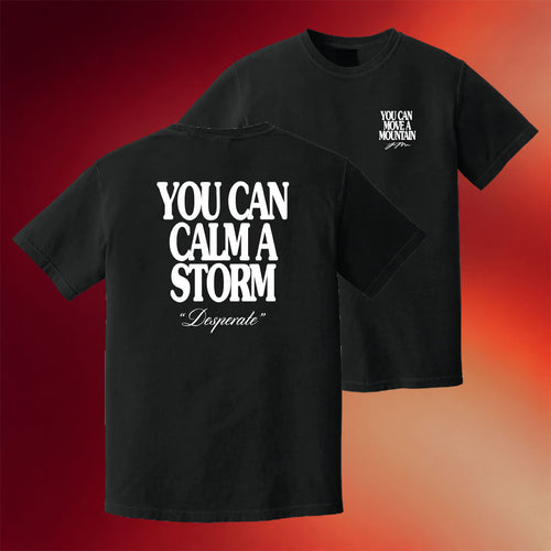 Jamie Macdonald Merch 2026 You Can Calm A Storm Desperate Shirt Jamie Macdonald T-Shirt Gifts