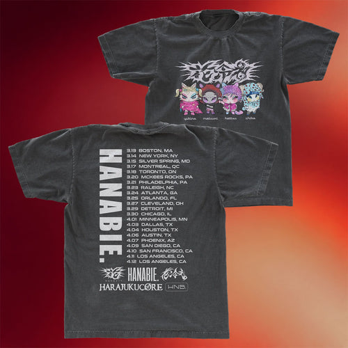 Hanabie Merch 2026 Piggy Tour T-Shirt Hanabie US Tour Shirt Gift For JPop Fans