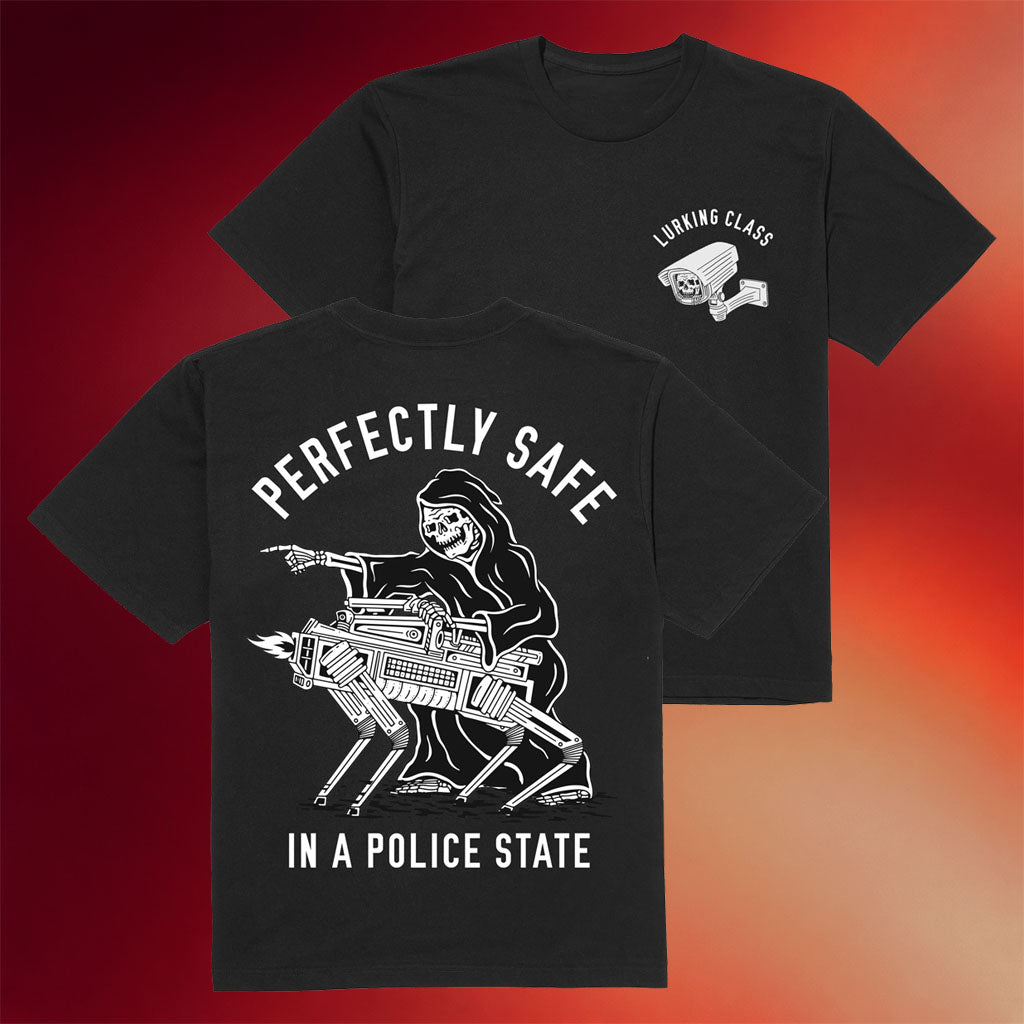 Lurking Class Merch 2026 Perfectly Safe In A Police State T-Shirt Gifts For Brothers