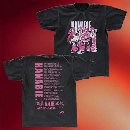 Hanabie Merch 2025 North American Tour T-Shirt Best Gifts For Music Lovers