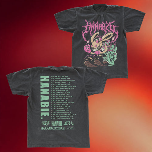 Hanabie Merch 2026 Rabbit Tour T-Shirt Hanabie US Tour Shirt Best Gift For JPop Fans
