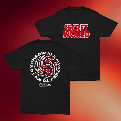 Last Ride Records Merch 2026 Secret World Red Swirl T-Shirt Gifts For Brother