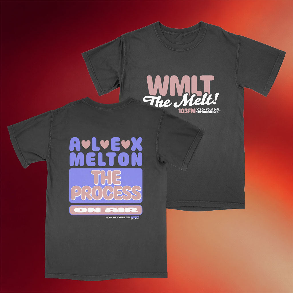 Pure Noise Merch Alex Melton Radio T-Shirt Pure Noise Records Shirt Gifts For Brother