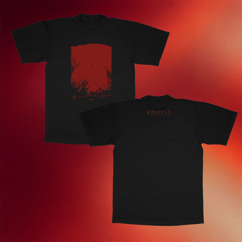 Polyvinyl Records Merch 2026 American Football The One With The Piano T-Shirt Gifts For Him