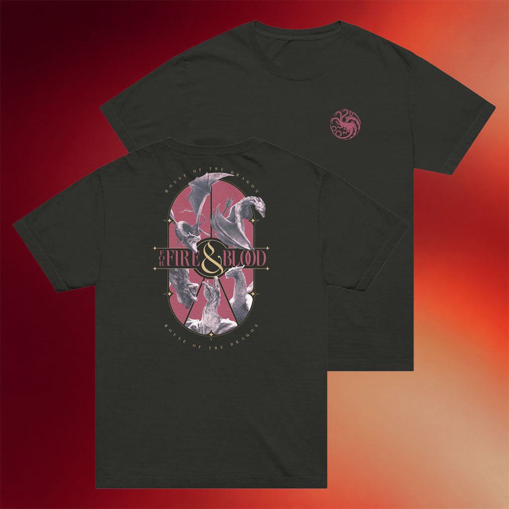 WB Shop Merch 2026 House Of The Dragon T-Shirt For Fire And Blood Shirt Gifts For Husband