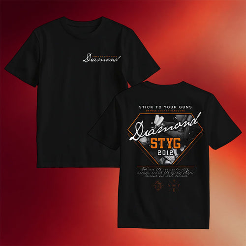Sumerian Records Merch 2026 Stick To Your Guns Diamond Black T-Shirt Birthday Gift For Him