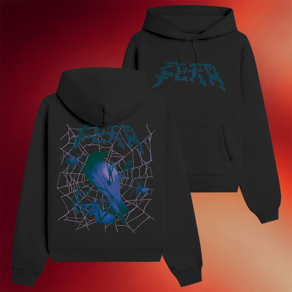 Flim Flam Merch Bird Web Hoodie Birthday Gift Ideas For Son