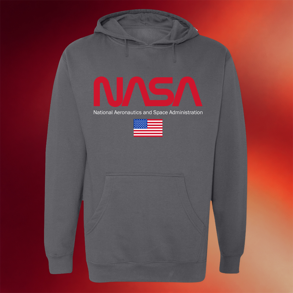 NASA Merch NASA Worm Logo Hoodie Birthday Gift Ideas For Boyfriend