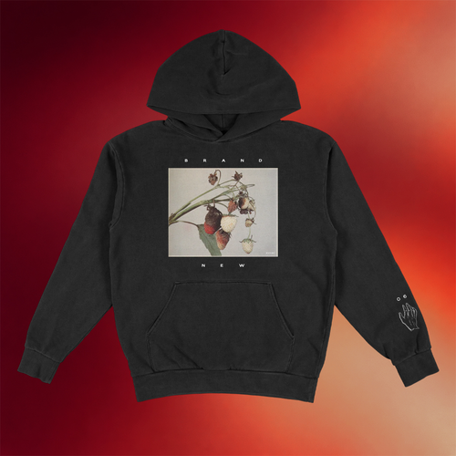 Procrastinate Music Traitors Merch Brand New Strawberry Vine Hoodie Best Birthday Gift For Her