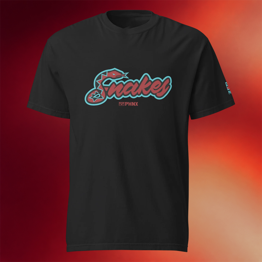 All City Network Merch 2026 PHNX Snakes T-Shirt Best Birthday Gift For Husband