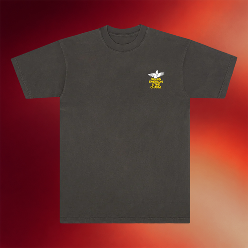 Avalon Emerson Merch 2026 Avalon Emerson And The Charm T-Shirt Gift Ideas For Music Lovers