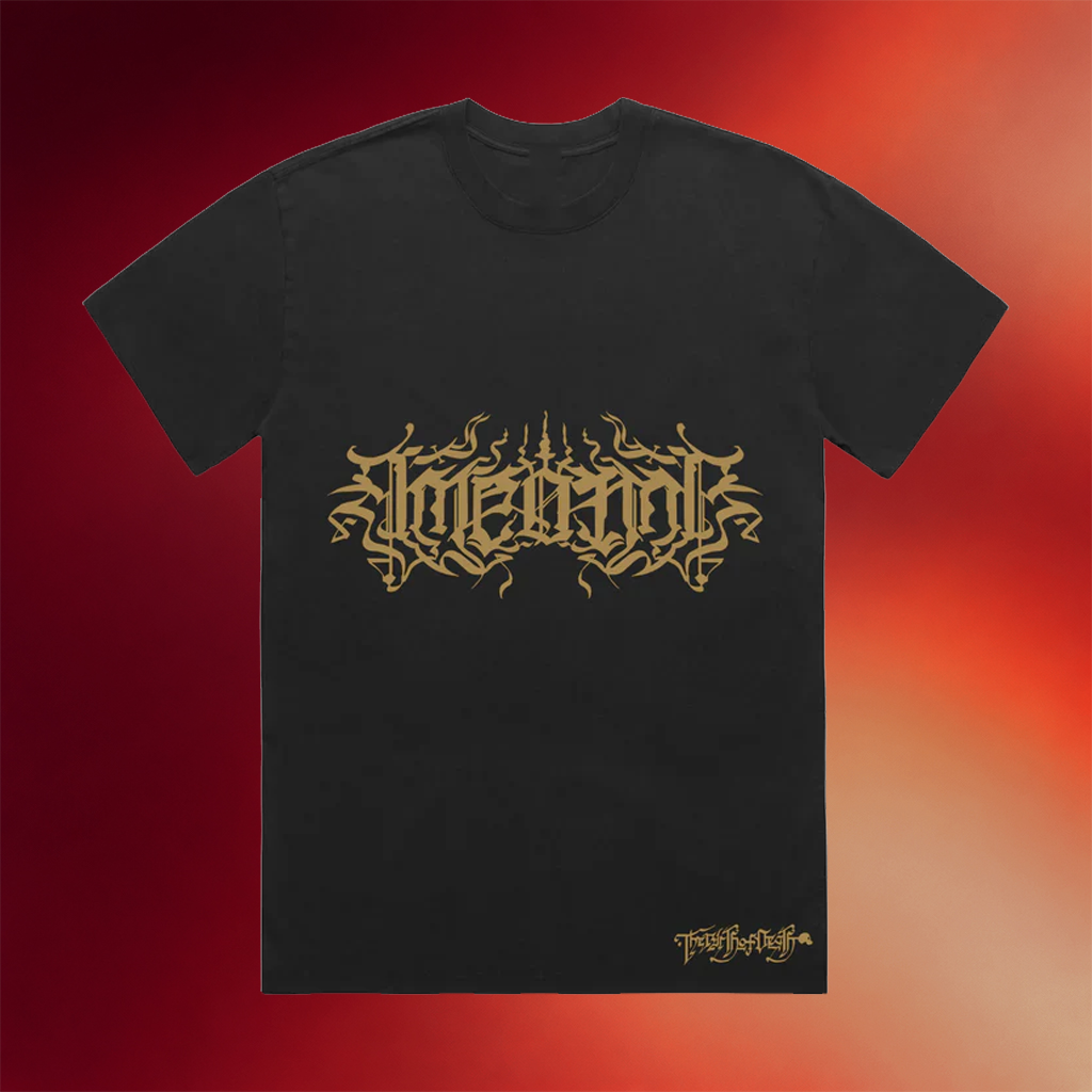 Ameonna Merch 2026 Script Logo T-Shirt Ameonna Shirt Present For Music Lovers