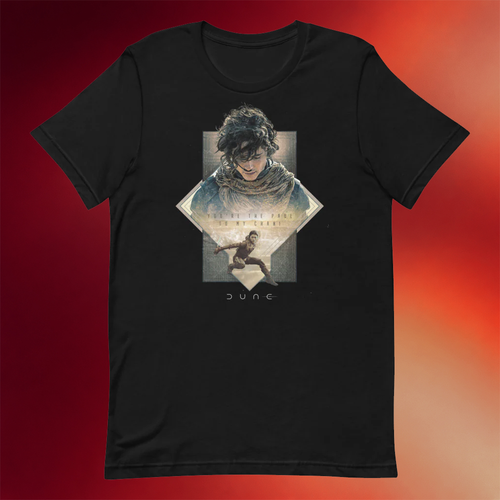 Dune Merch 2026 You_Re The Paul To My Chani T-Shirt Unique Gifts For BFF