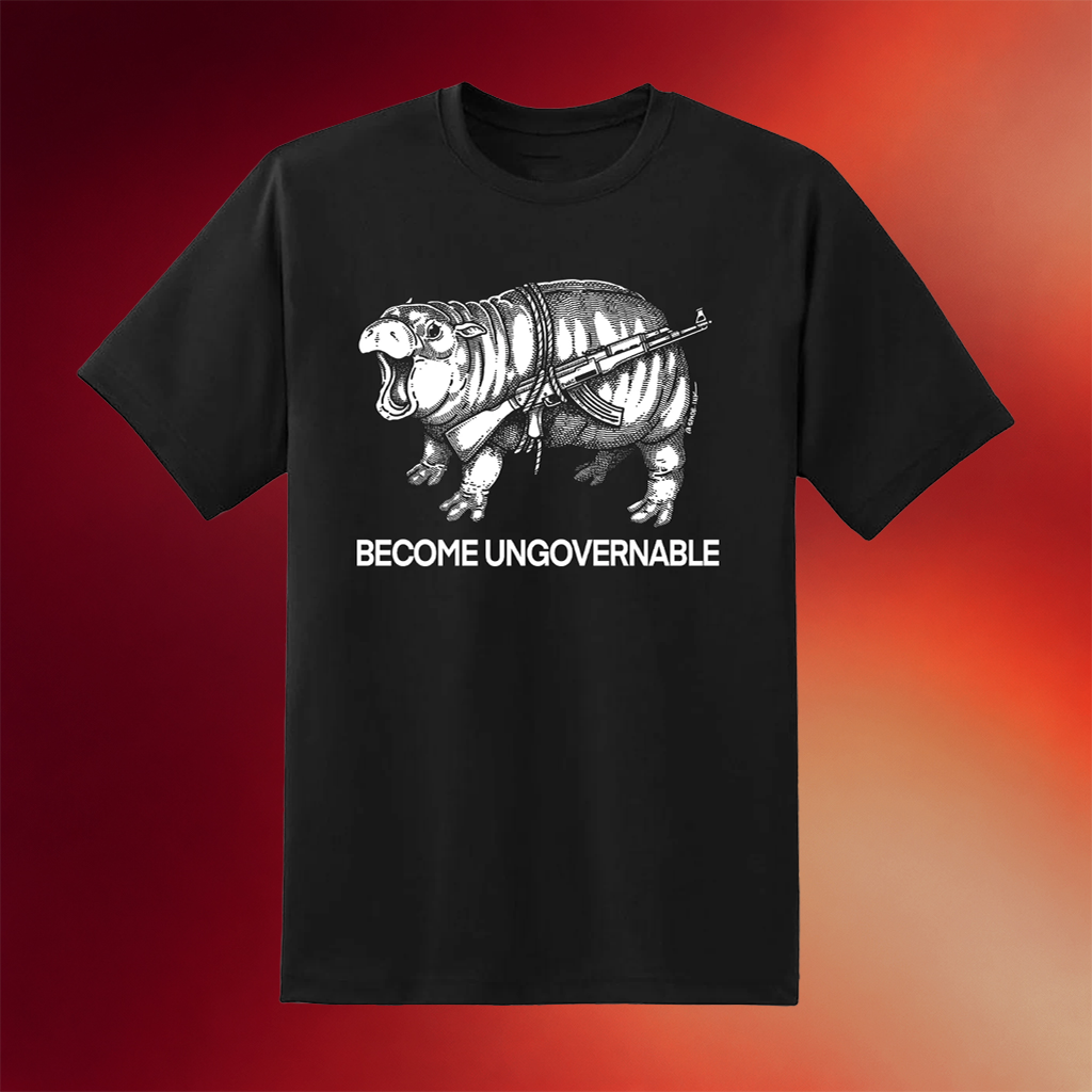 Punk With A Camera Merch 2026 Moo Dang Become Ungovernable T-Shirt Present For Him Her